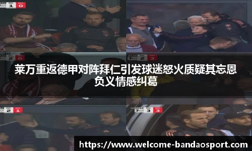 半岛体育APP